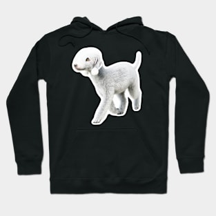 Bedlington Terrier Hoodie